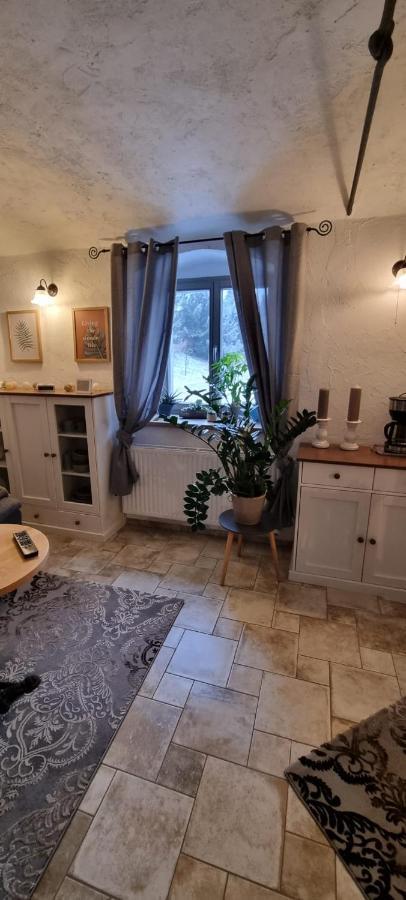 Monteur-Ferienwohnung Ot Naundorf Naundorf  Dış mekan fotoğraf