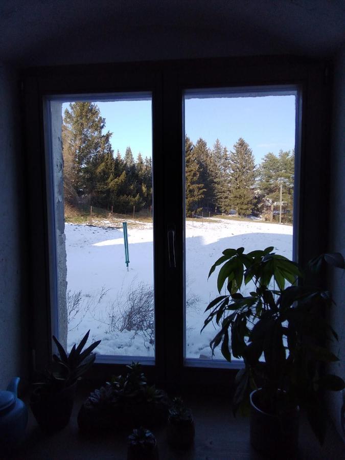 Monteur-Ferienwohnung Ot Naundorf Naundorf  Dış mekan fotoğraf